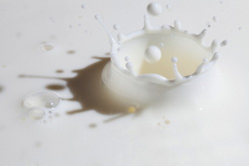 Close-up of milk splashing