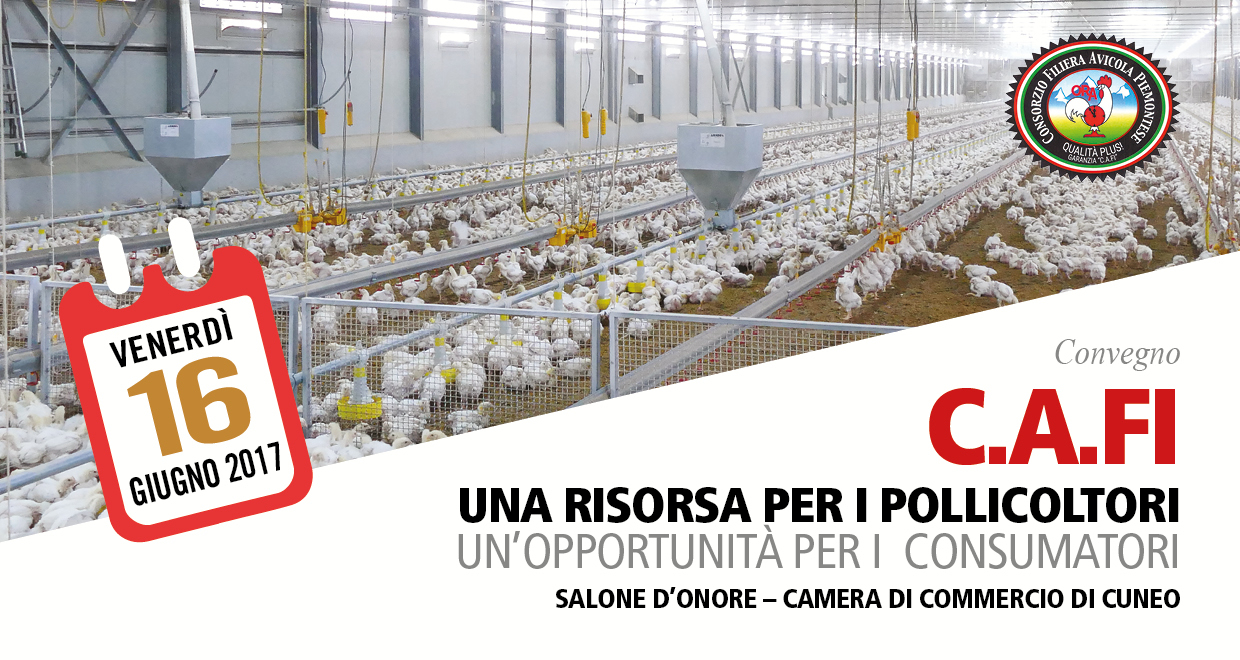 Copertina convegno CAFI