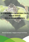 Vincenzo Serratore - Delegato Sviluppo nord-ovest Sipcam Italia. "Il contributo di Sipcam Italia nella difesa dalla cimice asiatica"