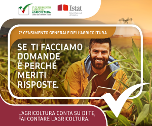 ISTAT_7_CENSIMENTO_AGRICOLTURA_BANNER_300x250