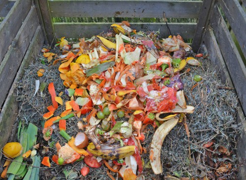 Compost_rifiuti_organici