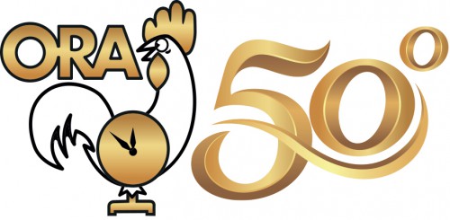 Logo 50+ LOGO