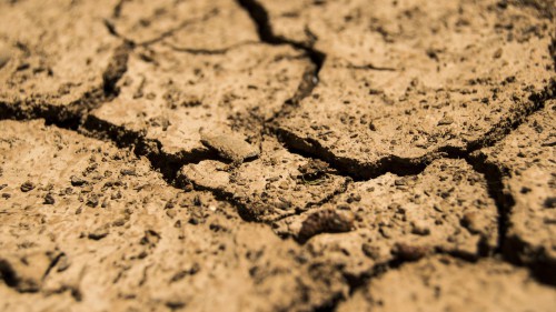 Terreno secco a causa della siccità