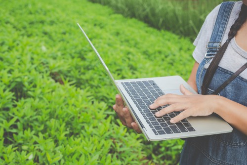 Persona che digita sulla tastiera di un computer portatile in mezzo ad un campo per l'agricoltura