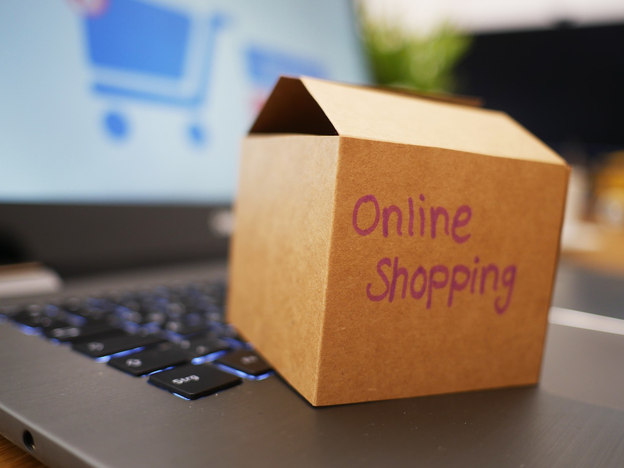 e-commerce per lo shopping online