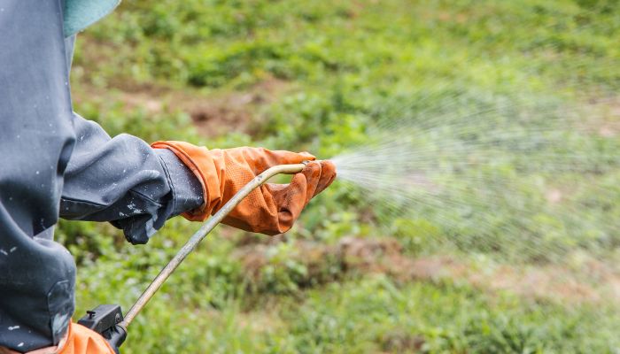 glifosato utilizzato sul terreno