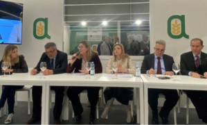 Vinitaly_foto_incontro_imballaggi_Federvini_Confagri_tavolo_media