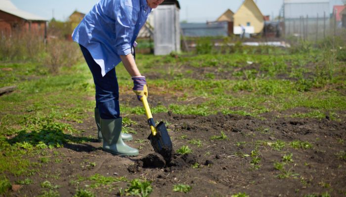 lavoro-in-campagna