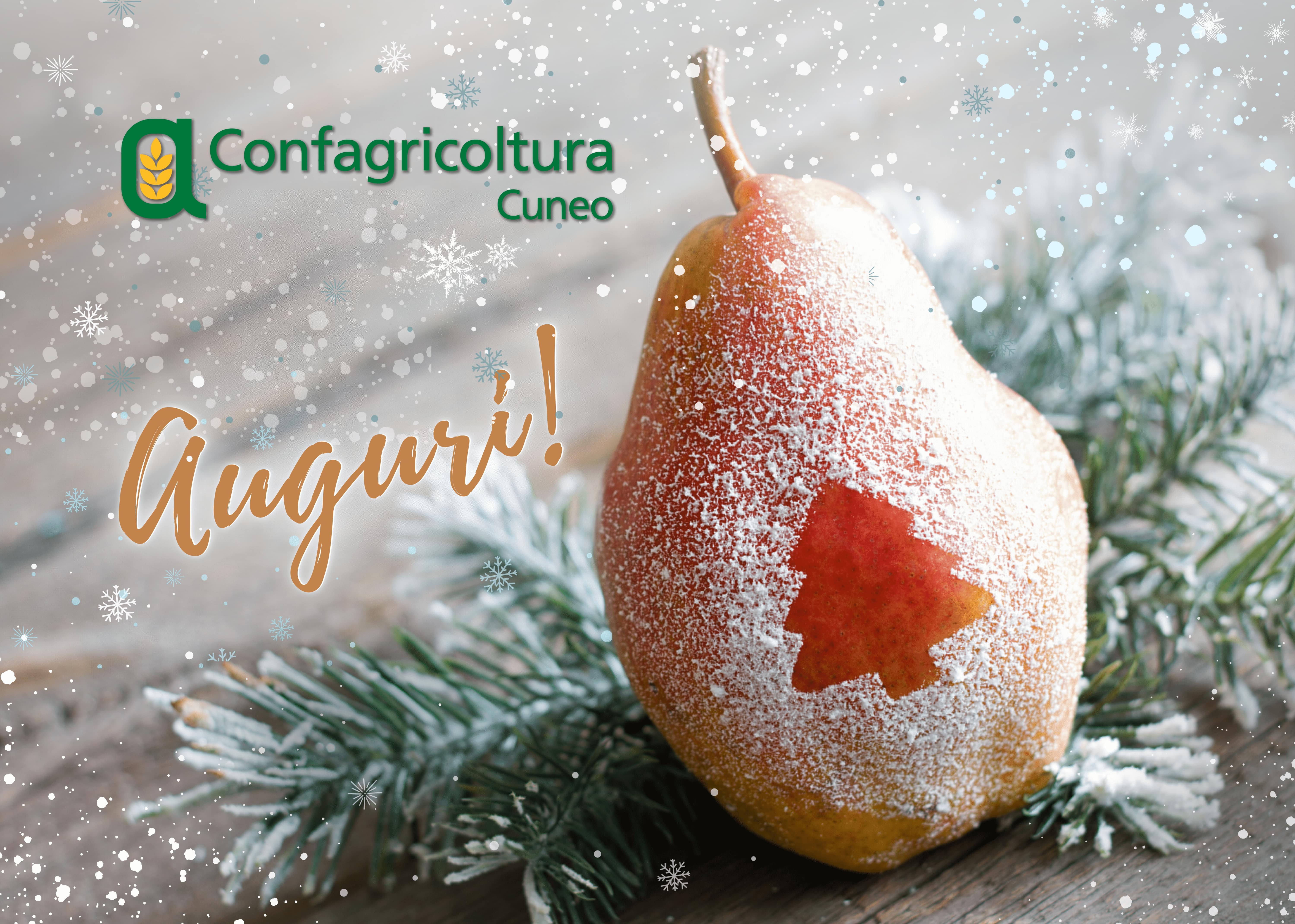 Confagricoltura_Auguri Natale 2023 (2) (1)