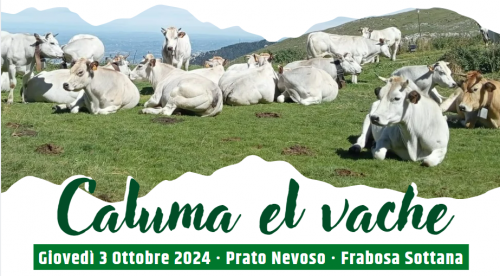 caluma el vache 2024