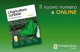 agricoltore 07/2024